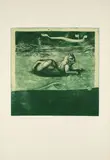 Ernst Fuchs, Sphinx der Wüste Sinear, 1970, Farbradierung auf BFK RIVES (Wasserzeichen)