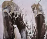 Gernot Schauer, Ohne Titel, Gelatinesilberabzug