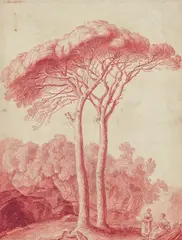 Jakob Philipp Hackert, Zwei Pinien bei Albano, 1771, Rötel auf beigem Papier