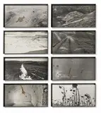 Anselm Kiefer, Unfruchtbare Landschaften II