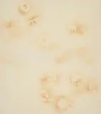 Jiří Georg Dokoupil, 10 Glasses and 1 Plate