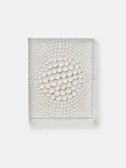 Jennifer López Ayala, "Hope", 2024, Eierschalen auf Holz, unter Acrylglashaube