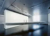 Cosima von Bonin, Auktion 517, Los 401, 2001, Glasfaser, verstärkter Kunststoff und Sperrholz, mit Kordsamt überzogen