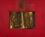 Bernard Aubertin, Livre Brulé, 2009, Verbranntes Buch auf rot bemaltem Holz