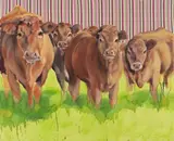 Oska (Stefanie) Gutheil, Ohne TItel, 2004, Mischtechnik auf Leinwand
