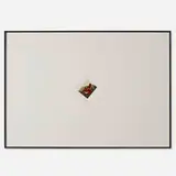 Cyprien Gaillard, Fields of Rest, 2013, screenprint on Polaroid in artist's mat and aluminum frame