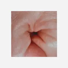 Jeanne Dunning, Untitled Hole, 1993, Cibachrome print