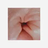 Jeanne Dunning, Untitled Hole, 1993, Cibachrome print