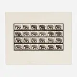 Eadweard Muybridge, Animal Locomotion, Plate 733, 1887, collotype