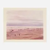 Joel Sternfeld, Approximately 17 of 41 Sperm Whales Which Beached and Subsequently Died, Florence, Oregon