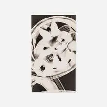 Untitled by Willy Kessels, c. 1935, gelatin silver photogram, sold Aug 2023