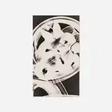 Willy Kessels, Untitled, c. 1935, gelatin silver photogram