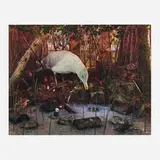 Gregory Crewdson, Untitled (from the Natural Wonder series), 1994, C-print