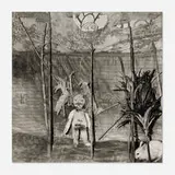 Roger Ballen, Crazed