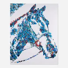 Vik Muniz, Horse (from the Monad series), 2003, C-print mounted to aluminum