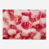 Boyd Webb, Causus, 1994, Cibachrome