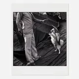 Mary Ellen Mark, Ringmaster A. Rehman with His Dog Rosy, Famous Circus, Calcutta