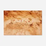 William Christenberry, Untitled (Child's Grave with Rosebuds), Hale County, Alabama