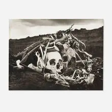 Polvo serán, más polvo enamorado (from the Witnesses of Time portfolio) by Flor Garduño, platinum palladium print, sold May 2025
