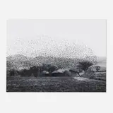 Flor Garduño, Nube, Mexico, gelatin silver print