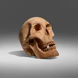 Russell Beers, Skull
