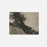 Anne Brigman, Dryads (from the Camera Work series), c. 1913, photogravure