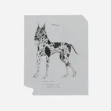 Tony Fitzpatrick, Harlequin Dog, 1993, pencil on Clearprint