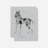 Tony Fitzpatrick, Harlequin Dog, 1993, pencil on Clearprint