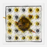 Doug and Mike Starn, Size of Earth, 1997, ink and collage on acetate, acrylic