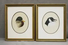 Art Lamay, Two works: Mallard and Canada Goose, Watercolor on paper