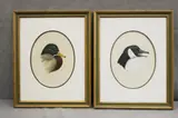 Art Lamay, Two works: Mallard and Canada Goose, Watercolor on paper