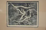 Lawrence Beall Smith, Forest Flight, circa 1949, Pencil signed at base