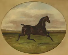 Albert Clark, Untitled, oil on canvas 51 x 61cm Provenance: Ernest Samuel Stock