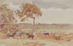 Allen W. Seaby, Untitled, Allen William Seaby (1867-1953) New Forest ponies in a landscape watercolour 24 x 36cm .