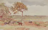 Allen W. Seaby, Untitled, Allen William Seaby (1867-1953) New Forest ponies in a landscape watercolour 24 x 36cm .