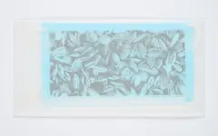 Mask by Ai Weiwei, 2020, Serigrafie auf Einwegmaske (Sonnenblumensamen), sold Nov 2024