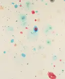 Jiří Georg Dokoupil, Soap-Bubbles