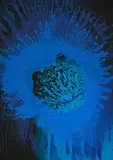 Otto Piene, Ohne Titel, 1975, Farbserigrafie auf Karton