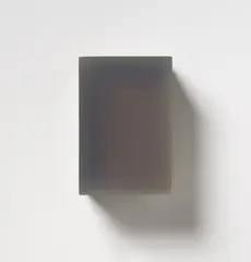 Herbert Hamák, "H 017 N", 1999, Acrylharz und Pigment auf Leinwand