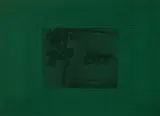 Sigmar Polke, In der Oper (Entscheidung der Frage, ob den Schwämmen Bewußtsein zukommt), 1973, Offsetlithografie auf grünem Velourspapier