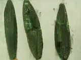 Wolfgang Schneider, Ohne Titel
