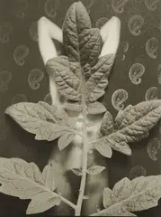 Özlem Altin, Ohne Titel (Meerjungfrau), 2017, Archival Pigment Print