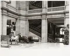 Museum König, Bonn by Candida Höfer, 1985, Gelatinesilberabzug auf Agfa, sold Oct 2024