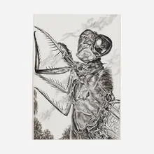 Nick Taggart, Dragonfly, 2004, acrylic and graphite on paper