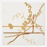 D. J. Simpson, Blue Milk Drawing, 2000, laminated plywood