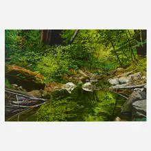 Peter Loftus, Stream with Soft Light, 1998, oil on canvas