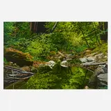 Peter Loftus, Stream with Soft Light, 1998, oil on canvas