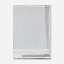Marieta Chirulescu, Untitled, 2011, acrylic and gesso on canvas