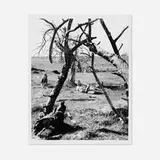 Herbert Matter, Louisa and Alexander Calder, Roxbury, Conn., 1940, gelatin silver print