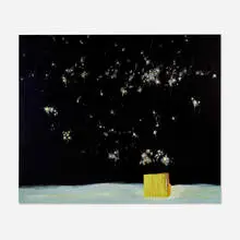 Jennifer Coates, Nightbox, 2004, acrylic on canvas